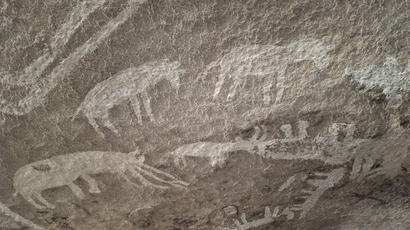 20260815 105446 800x450