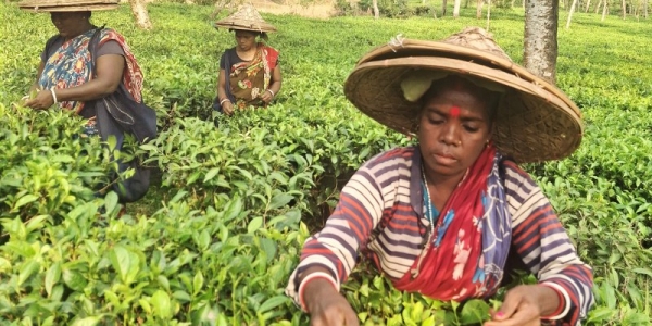 BANGLADESH