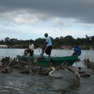 GUATEMALA + HONDURAS - BELIZE_GUATEMALA_210_800x600_e355dfdbc89b7e220223ac3e6a59a9b1