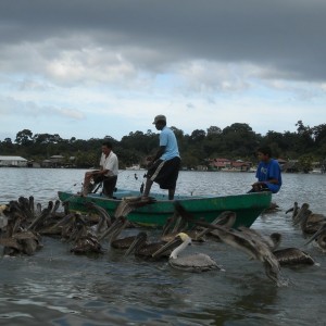 GUATEMALA + HONDURAS - BELIZE_GUATEMALA_210_800x600_e355dfdbc89b7e220223ac3e6a59a9b1