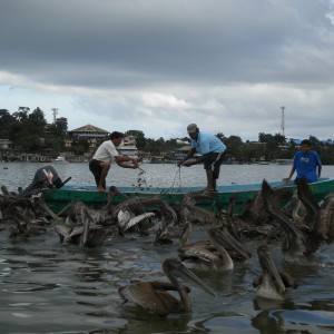 GUATEMALA + HONDURAS - BELIZE_GUATEMALA_211_800x600_b103967d78bf246299abfbea014e6233