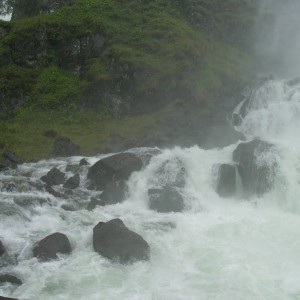 NORVEGIA - DSCN4574_800x599_ab6cbdd86bc2cb4f78b9e4ad185b13d2