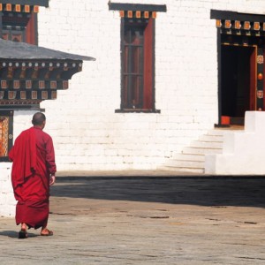 BHUTAN - IMG_0102BHUTAN_NEPAL_800x533_71740f5dc86e456f7109fb47975593d1