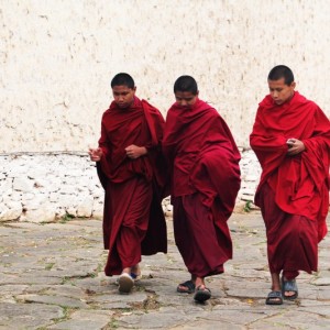 BHUTAN - IMG_0398BHUTAN_NEPAL_800x533_095c8d4bdab9865263699a1f7f5f2988