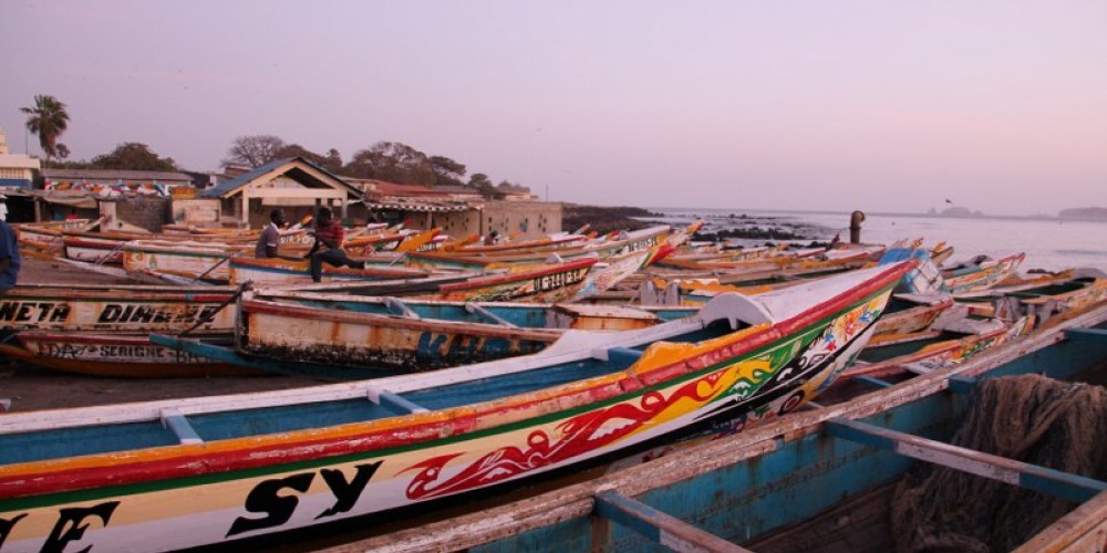 SENEGAL + GAMBIA