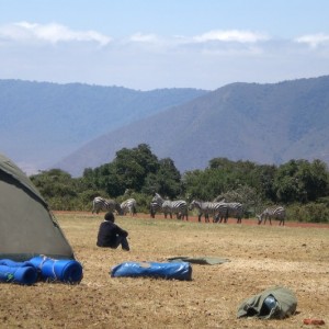 TANZANIA - TANZANIA_GIANL_113_800x532_cf20f12a46d4ccd451b3c920e9990671