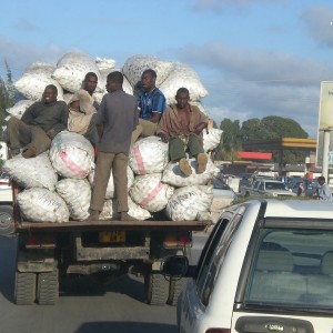 TANZANIA - TANZANIA_GIANL_236_800x600_af36c8a0f95a49286231d2cf614d371b