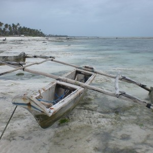 TANZANIA - TANZANIA_GIANL_253_800x600_d92c7f6b2e01f42231392f005350a761