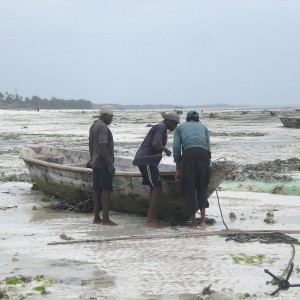 TANZANIA - TANZANIA_GIANL_255_800x600_90211fed06dd13de25c303f20e4501f3