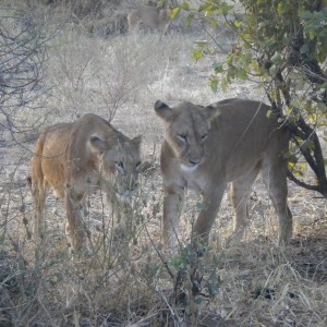 TANZANIA - TANZANIA_LUCA_016_800x600_32fa1d0afd02de615fe2a0765f133d92