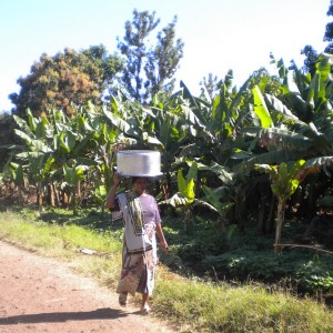 TANZANIA - TANZANIA_LUCA_037_800x600_a513bf9d16089c0ab0cdcb5933168c9b