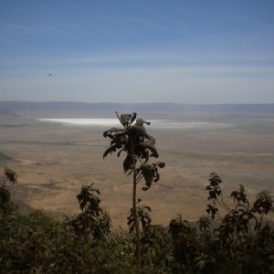 TANZANIA - TANZANIA_LUCA_101_800x600_392a1a2b17ee3f4e526b9ec18e435184