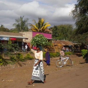 TANZANIA - TANZANIA_LUCA_182_800x600_41033e92960a707d7ecb6e5533d2bcd6