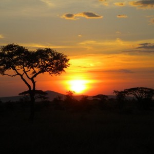 TANZANIA - TANZANIA_LUCA_286_800x600_ff599c0925d3b60c03f72d0340edb230