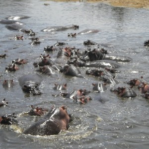 TANZANIA - TANZANIA_LUCA_357_800x600_c88080bdd9fe58ecc4b4ff3cd005ffa4