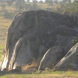 TANZANIA - TANZANIA_LUCA_386_800x600_e13314f6c421557c1e6364fd7e3b714a