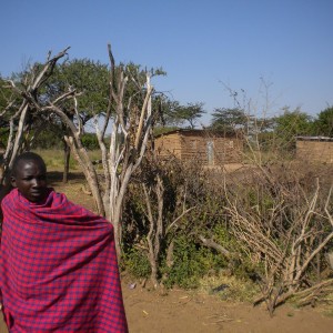 TANZANIA - TANZANIA_LUCA_404_800x600_f74d4fa81665cd09004523c1ed32108e