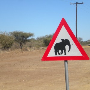 BOTSWANA - africa_154_800x600_b21699b111036cfcfb5aa7601bd2044c
