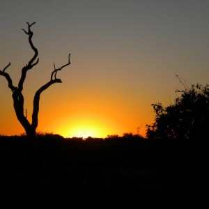 BOTSWANA - africa_216_800x600_be04409c5397b6a7b943a8139c2c2c7a