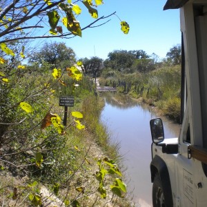 BOTSWANA - africa_386_800x600_b228e0238246313ff4b9e56ad4db9e24