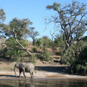 BOTSWANA - africa_REFLEX_037_800x533_71ff1afa3060b771e277574c50d6e6bc