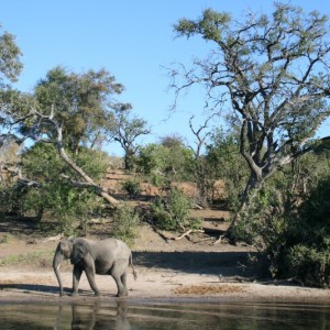 BOTSWANA - africa_REFLEX_037_800x533_71ff1afa3060b771e277574c50d6e6bc