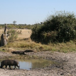 BOTSWANA - africa_REFLEX_107_800x533_511ed3ba48b1b1df59e757c126218eaa