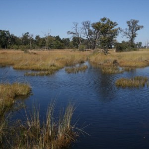 BOTSWANA - africa_REFLEX_262_800x533_045d8dc46adbb5833b2a466080c59e09