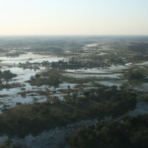 BOTSWANA - africa_REFLEX_300_800x533_521af19616cf397448110ee6b0876021