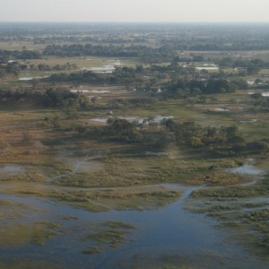 BOTSWANA - africa_REFLEX_305_800x533_0c4043079fbadd043f7606fa916c17f0