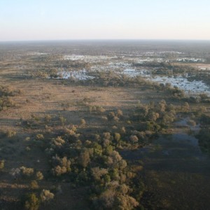 BOTSWANA - africa_REFLEX_313_800x533_4d1edd1eeb363c695ffa1336e542082d