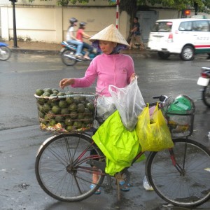 VIETNAM - cambogia-vietnam_440_800x600_8c8ec3a98b8e693a2055db103412f4ce