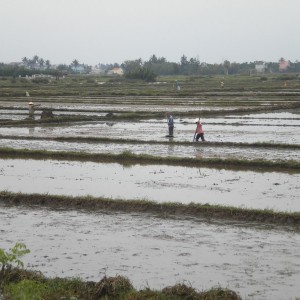 VIETNAM - cambogia-vietnam_466_800x600_0ffef3845f586a094cf914089e904cee