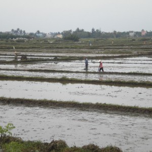 VIETNAM - cambogia-vietnam_466_800x600_0ffef3845f586a094cf914089e904cee