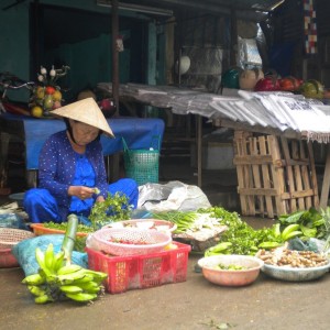 VIETNAM - cambogia-vietnam_471_800x600_4ad89813ca3c35d401dda2f03c59e332