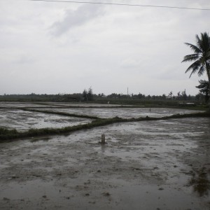 VIETNAM - cambogia-vietnam_622_800x600_bbd7151ce3c8969c0c0d52b872118811